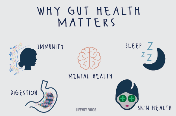 Gut-Health_Blog