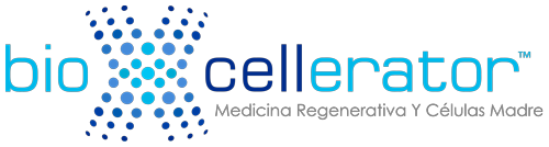 Bioxcellerator Medicina regenerativa y células madre