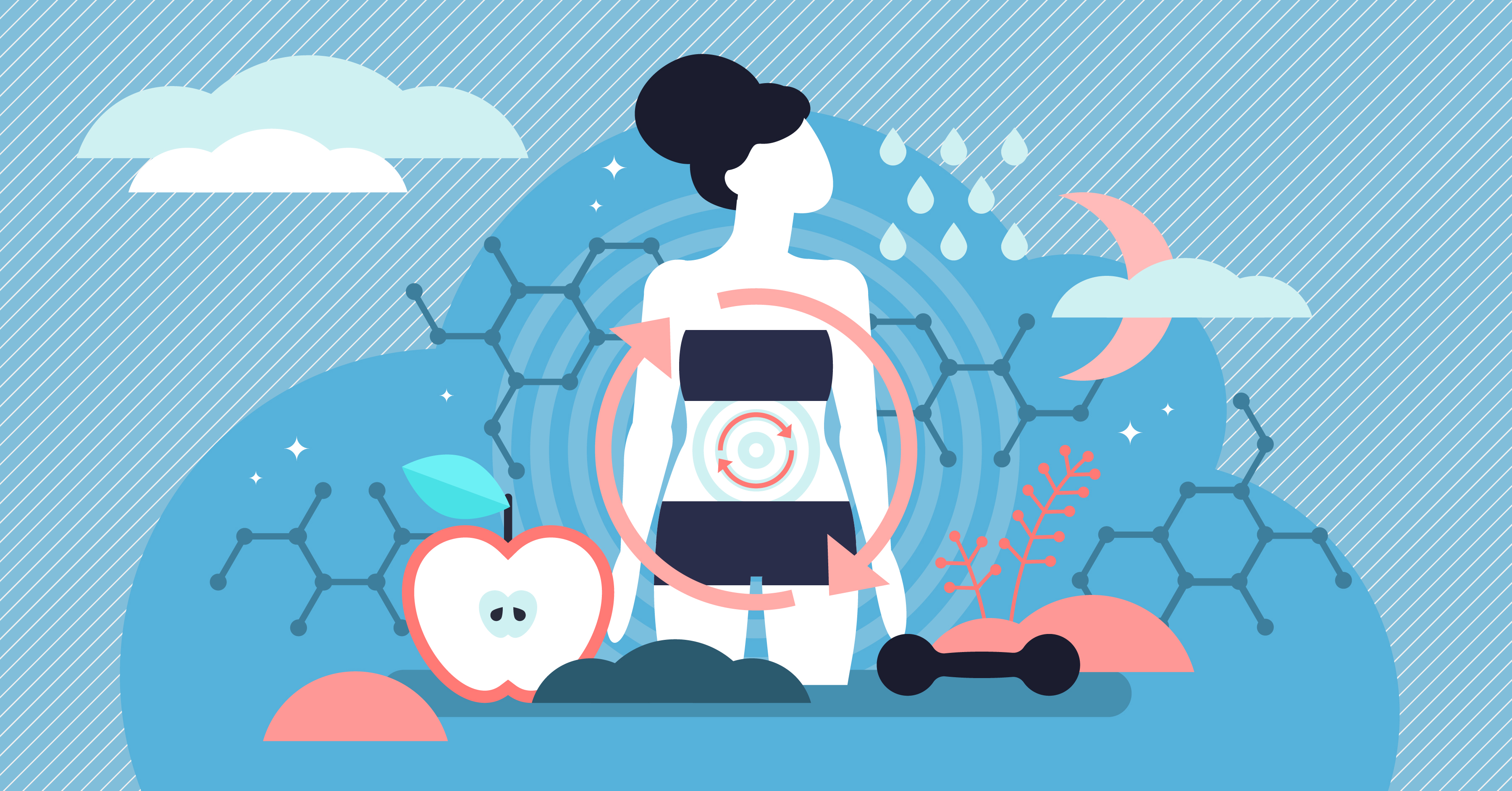 stem cell metabolism